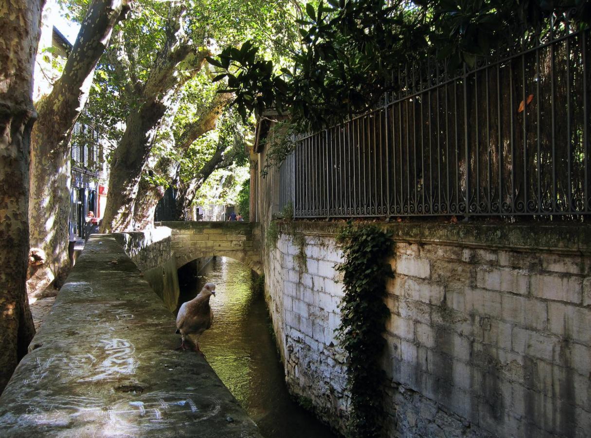 L'Heure Bleue - Charme Et Histoire Au Coeur D'Avignon Apartman Kültér fotó
